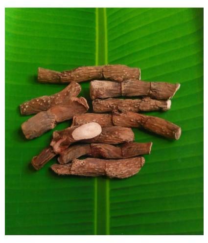 Sweet Flag / வசம்பு - product media