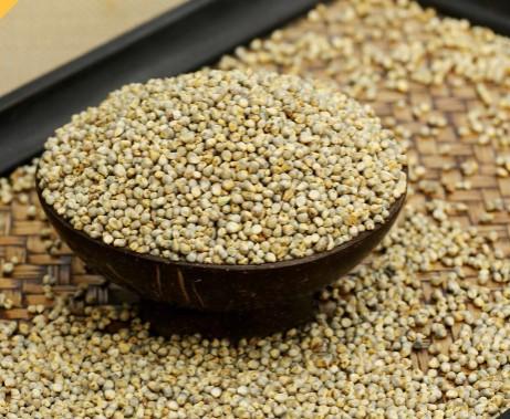 Pearl Millet / கம்பு - product media