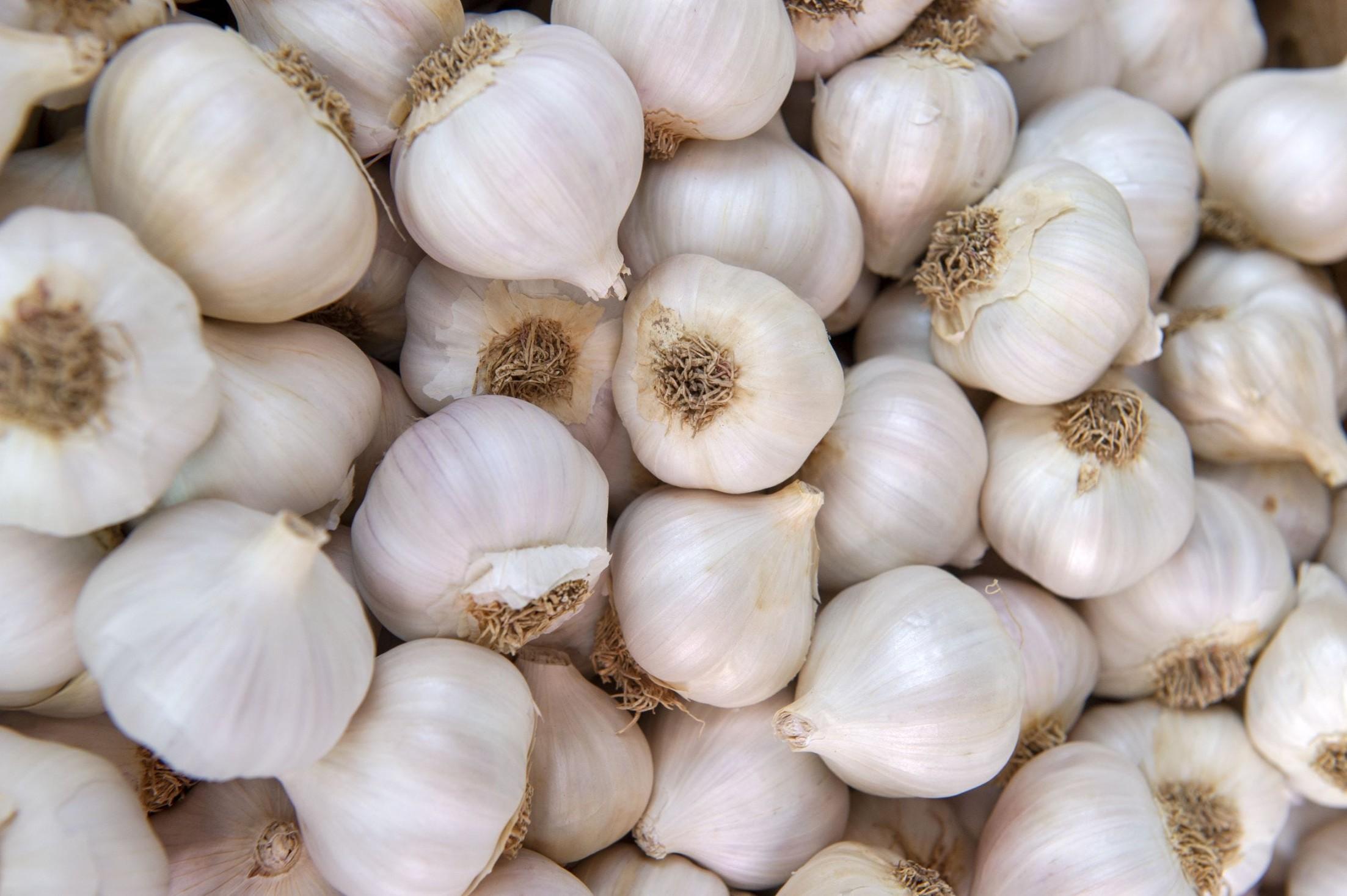 Garlic Small - product media