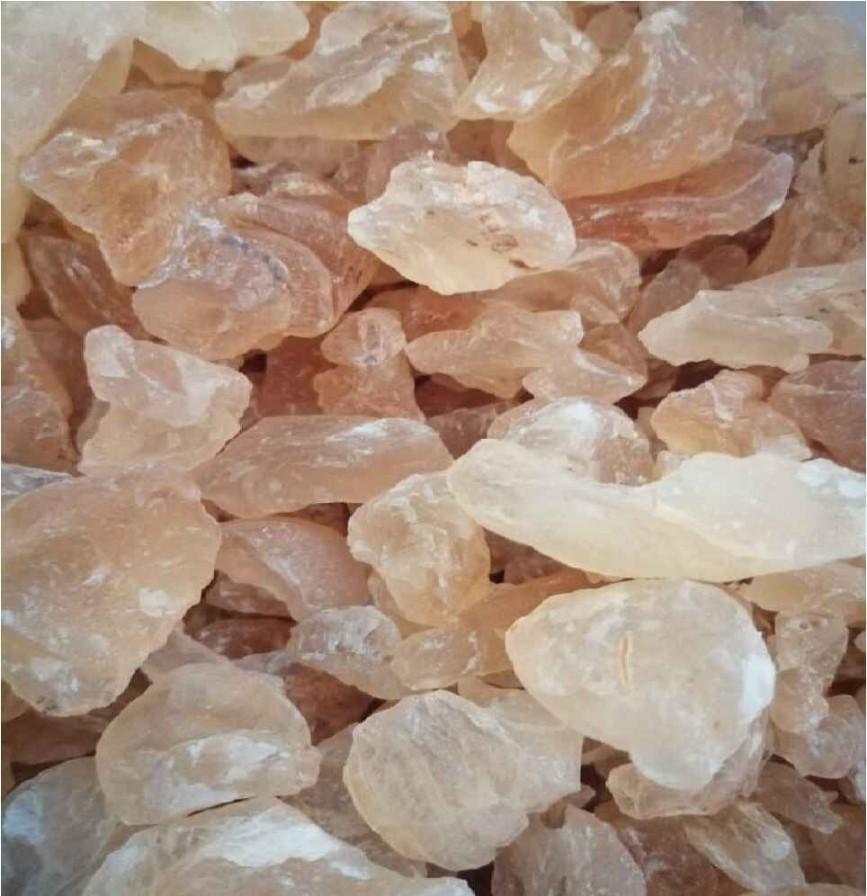 China Grass / கடல் பாசி - product media