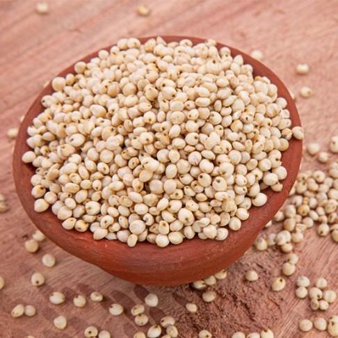 White Sorghum / வெள்ளை சோளம் - product media
