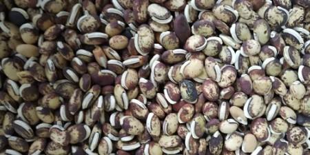 Puli Mochai - product media