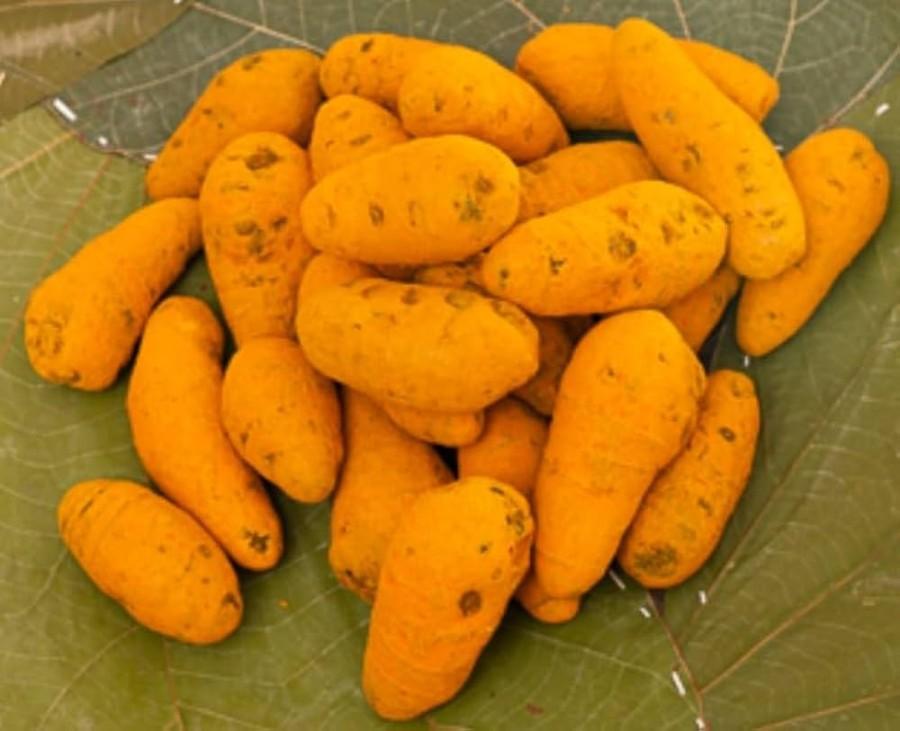 Manjal kilangu - product media